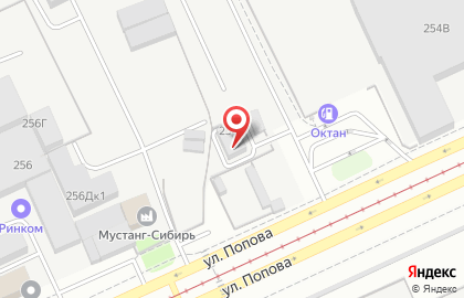 Бригадир на улице Попова на карте