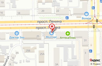 Музыкальный магазин МузТорг на проспекте Ленина на карте