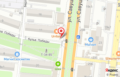 Киоск фастфудной продукции на улице Савушкина на карте