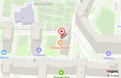 Котопространство Город кошек на карте