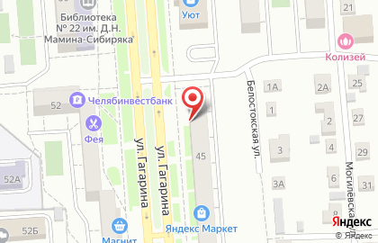 Зоосалон ЛедиМур в Ленинском районе на карте