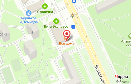 Невис на Будапештской улице на карте