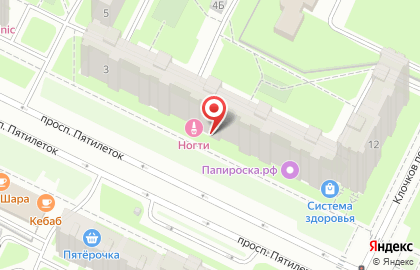 Зоомагазин PetShop.ru на проспекте Большевиков на карте