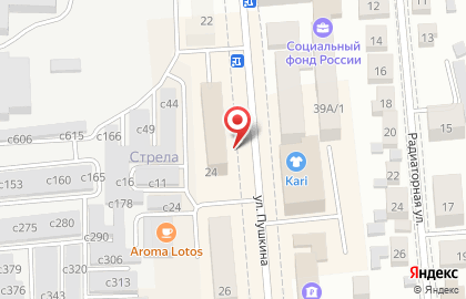 БТИ Новосибирской области на улице Пушкина на карте