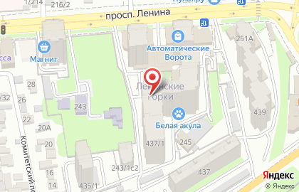 Центр ментальной арифметики на проспекте Ленина, 245/5 на карте