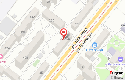 Жираф на улице Блюхера на карте