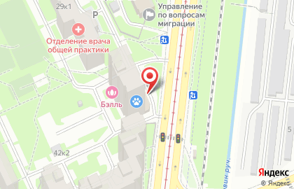 Магазин пива в Санкт-Петербурге на карте