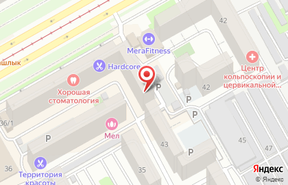 Ателье по пошиву и ремонту одежды ИП Гогуадзе А.П. на карте