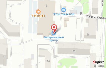 Ветеринарный центр в Петрозаводске на карте