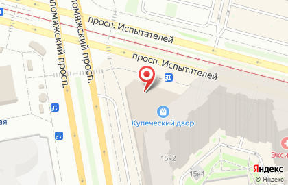 Сервисный центр Pedant.ru на проспекте Испытателей на карте