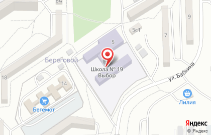 Средняя общеобразовательная школа Выбор №19 на карте