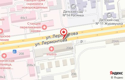 Альгис на улице Лермонтова на карте