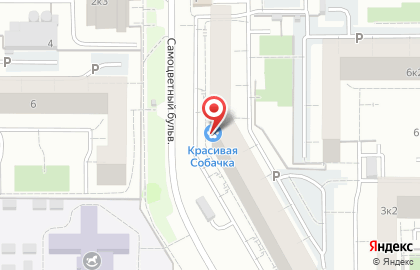 Груминг-салон Красивая Собачка на карте