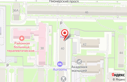 Сибирская консалтинговая компания на Пионерском проспекте на карте