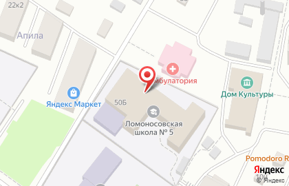 Ломоносовская школа №5. Школа на Рублевке на карте