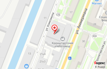ЗАО Фирма Невская сушка на улице Аммермана на карте