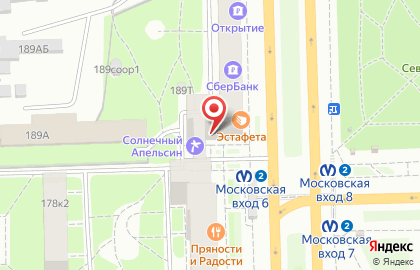 Салон оптики Питер Оптика на Московском проспекте на карте