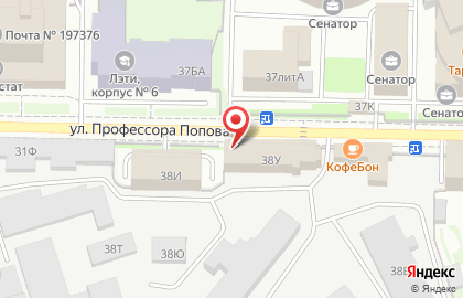 Типография для бизнеса Ленпечати на улице Профессора Попова на карте