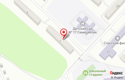 Федерация плавания городского округа Спасск-Дальний, общественная организация на карте