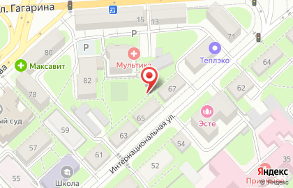 Садоводческое некоммерческое товарищество им. И.В. Мичурина на карте