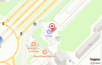 Олви в Самаре на карте
