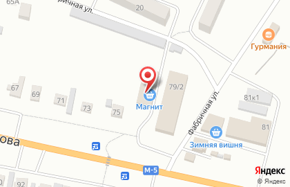 Супермаркет Магнит в Пензе на карте