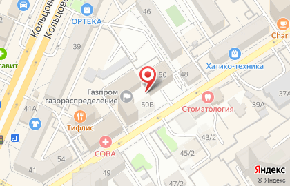 Воронежский областной центр учреждений социального обслуживания населения на Никитинской улице на карте