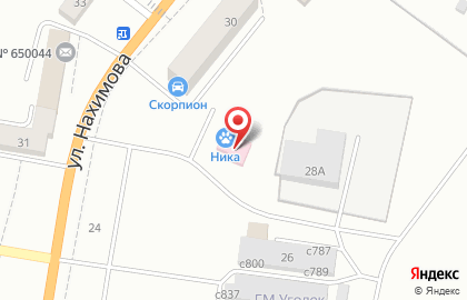 Ветеринарная клиника Ника на улице Нахимова на карте