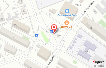 Продуктовый магазин и киосков на улице Гагарина на карте