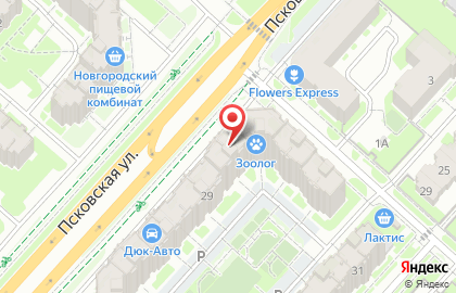 Аптека для бережливых в Великом Новгороде на карте
