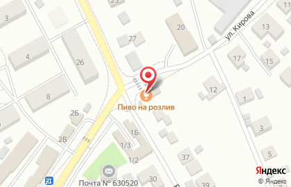Магазин разливного пива на Рабочей (с. Верх-Тула), 29 к1 на карте