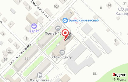Управление Федеральной службы по надзору в сфере природопользования по Брянской области на карте
