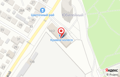 Золушка в Центральном районе на карте