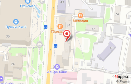 Салон кожи и меха Tiffi на улице Ленина, 31 на карте