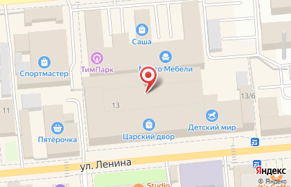 Частное охранное предприятие Беркут на улице Ленина на карте