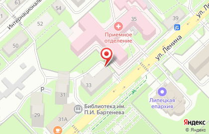 Богатырь на улице Ленина на карте