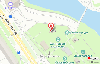 Общественная организация Старожилы Сургута на карте