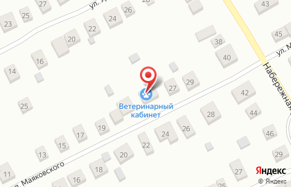 Ветеринарный кабинет на улице Маяковского на карте