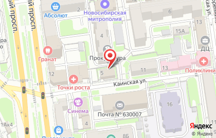 Новосибирский Государственный Областной Дом Народного Творчества на карте