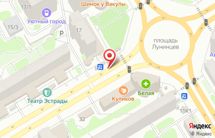 Цветочный магазин Anna на улице Челюскинцев на карте
