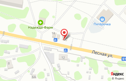 Магазин мяса Фермер на Лесной на карте