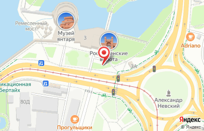 Флора на площади Маршала Василевского на карте