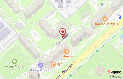 Продуктовый магазин на проспекте Ленина на карте