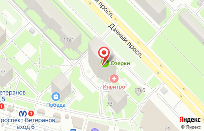 Магазин оптики Озерки на проспекте Ветеранов на карте