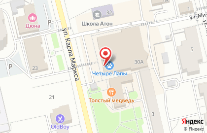 Зоомагазин ЧЕТЫРЕ ЛАПЫ на улице Карла Маркса на карте