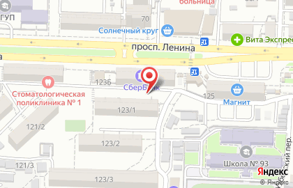 Домовой на проспекте Ленина на карте