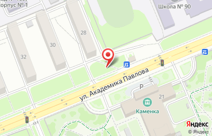 Снежинка на улице Академика Павлова на карте