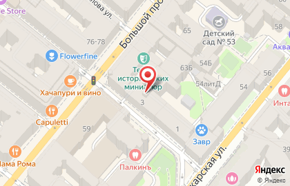 Монополь в Петроградском районе на карте