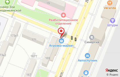 АГРОЭКО-Маркет в Железнодорожном районе на карте