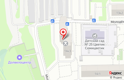 Долгопрудненское городское отделение Всероссийское добровольное пожарное общество на карте